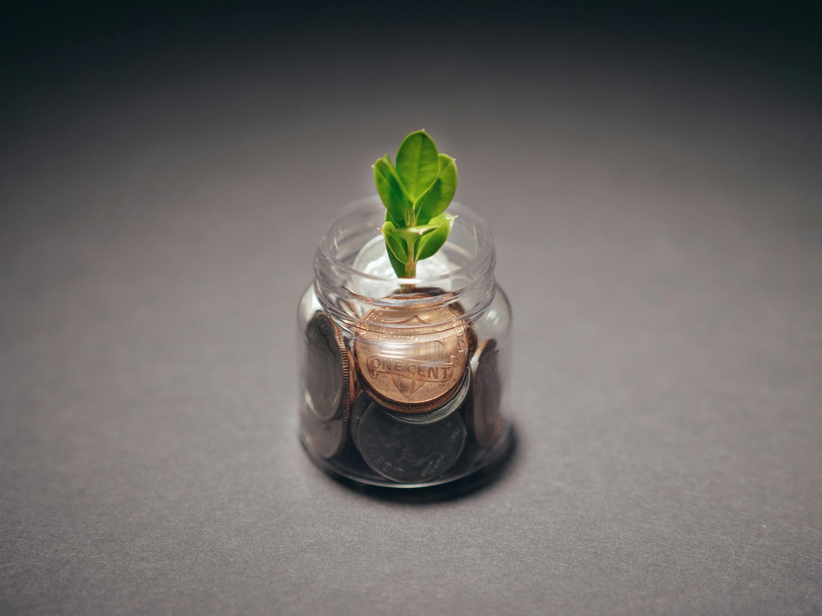 Antwerp, Belgium: A Hub for Microsoft Jobs and Business